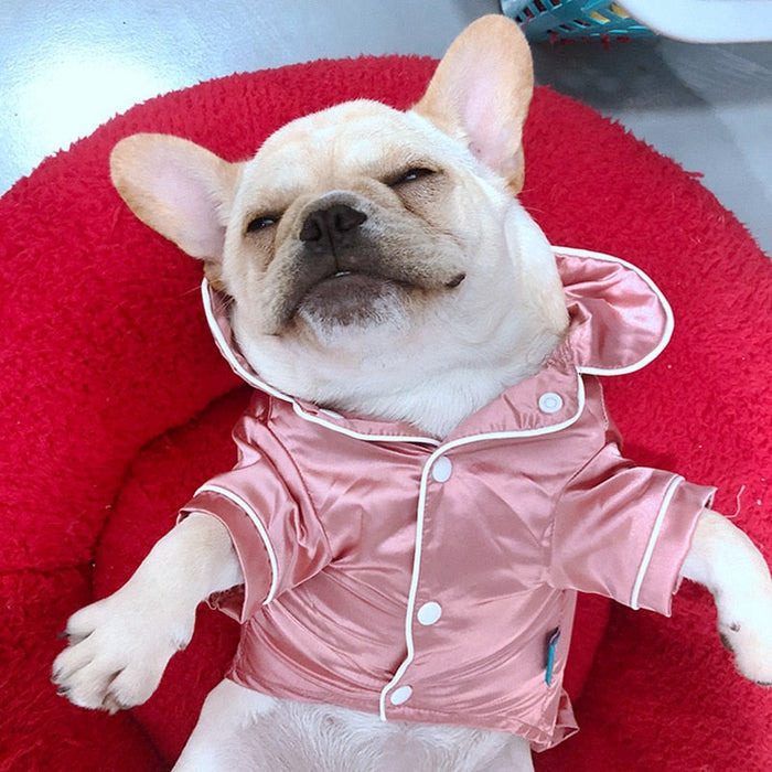 Dog Pajamas For Small Dogs