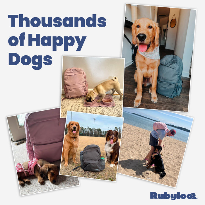 Dog-Supplies Backpack for Hands-Free Outings