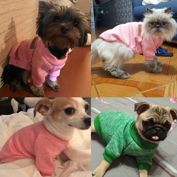 Dog Sweatshirts for Small Dogs — Heathered Pullover