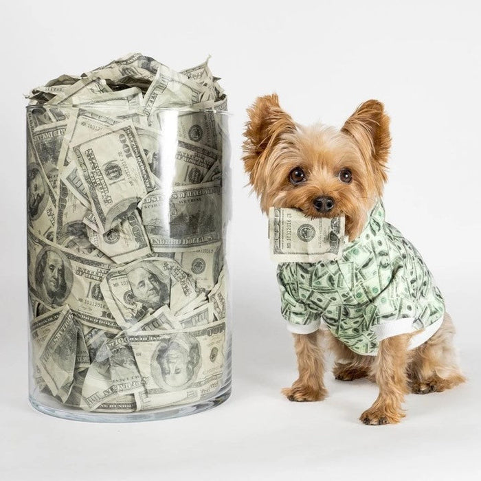 Dollar-Print Dog Hoodie
