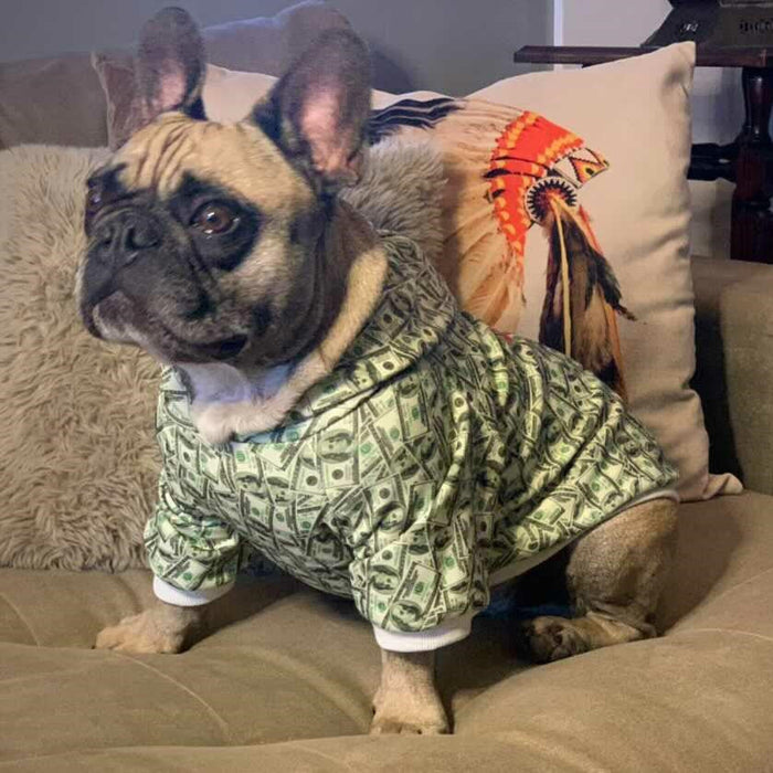 Dollar-Print Dog Hoodie