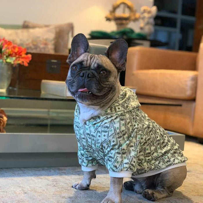 Dollar-Print Dog Hoodie