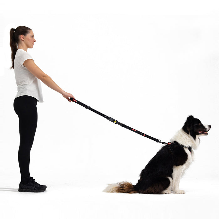 woman and dog with Dog Car Seat Belt Leash
