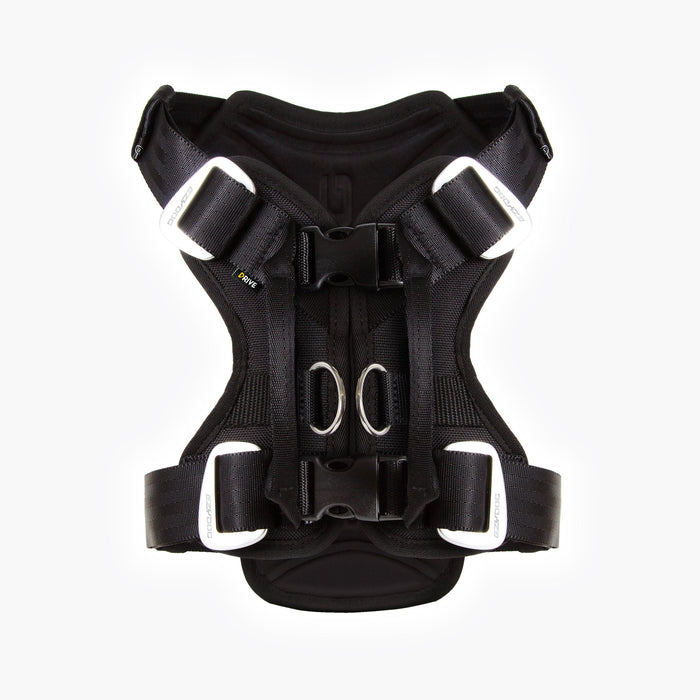 Back View of black EzyDog Drive Dog Car Harness – Adjustable Crash-Tested Design