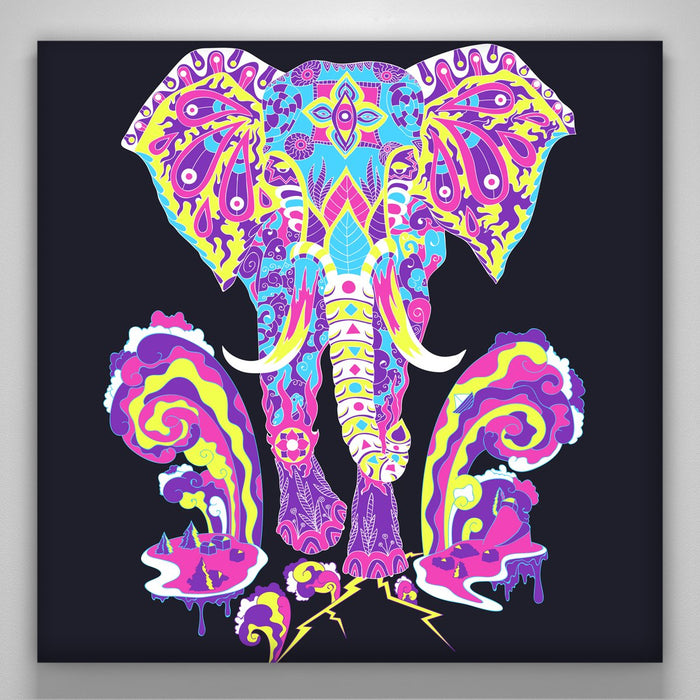 "elephant"