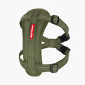 Palm Green / 2XS