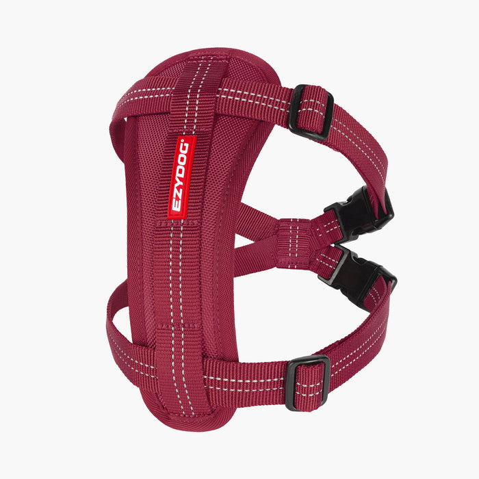 Essential Everyday Pack