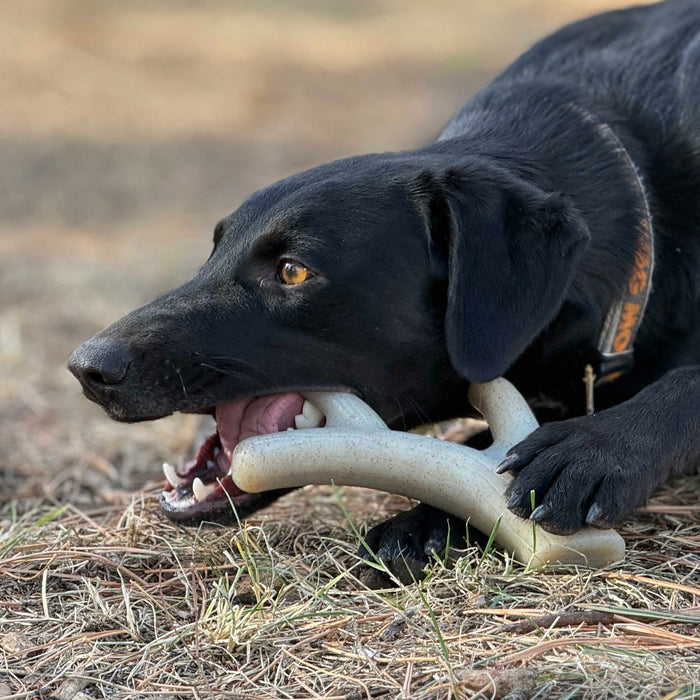 Ever Antler Nylon Branch Chew