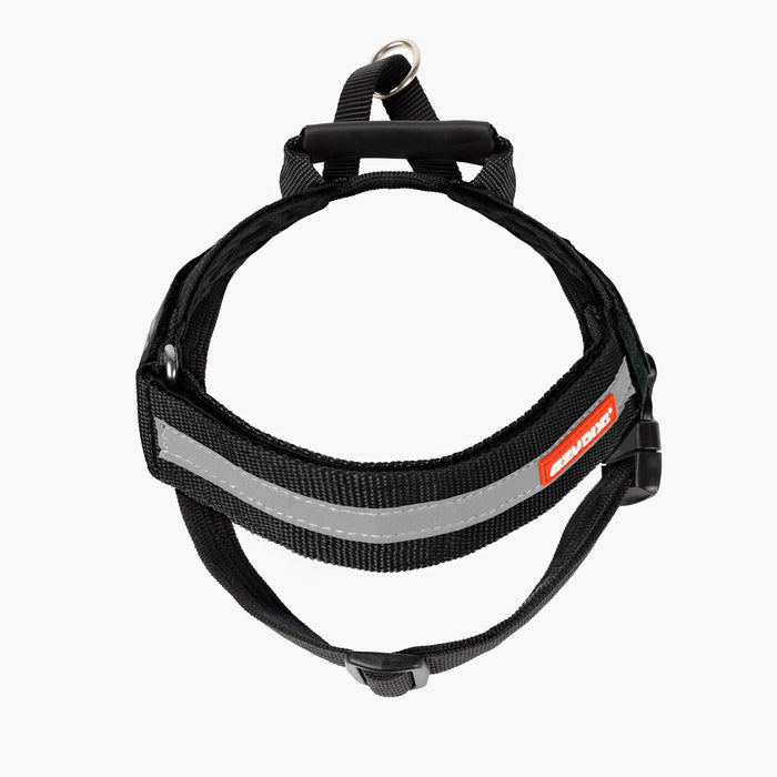 Black Express Dog Harness from EzyDog