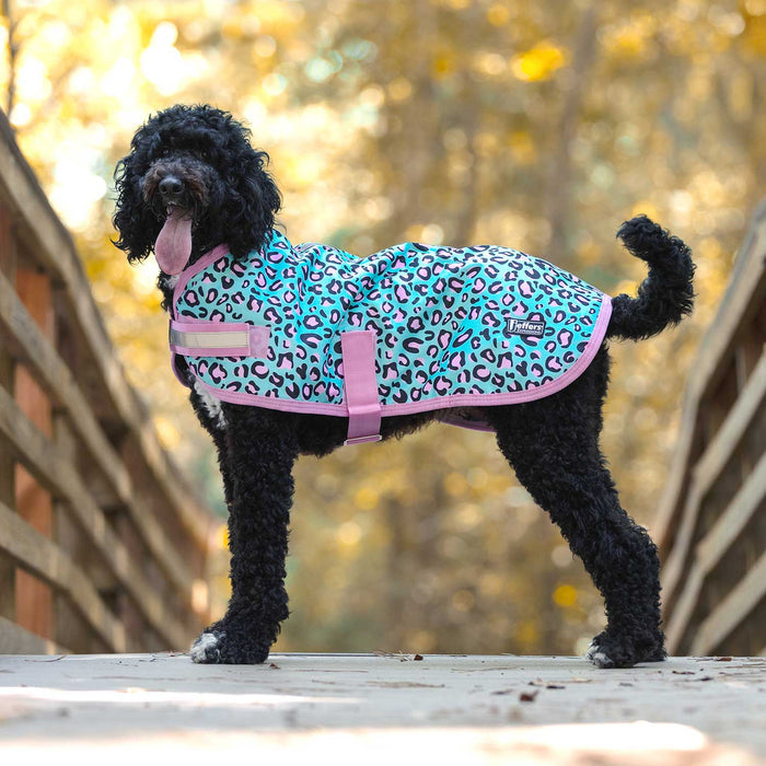 Expression Patterned Insulated Dog Coat