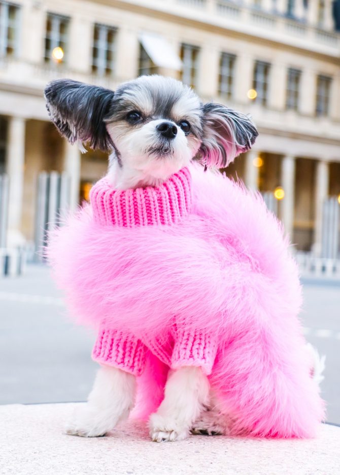 Feather-Trim Pet Turtleneck — Pink or Blue