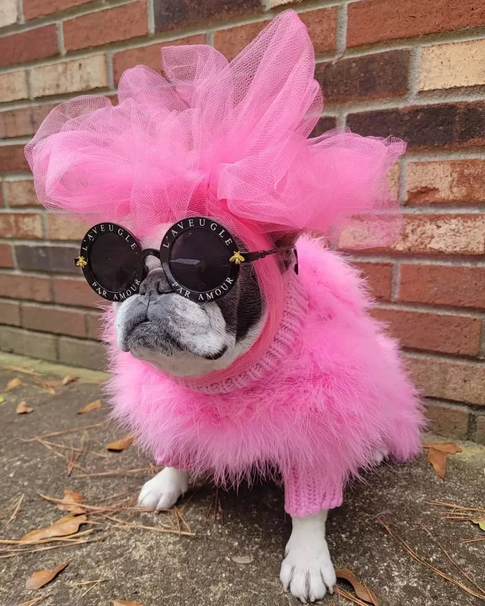 Feather-Trim Pet Turtleneck — Pink or Blue