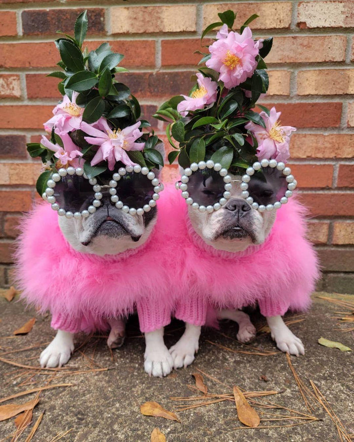 Feather-Trim Pet Turtleneck — Pink or Blue