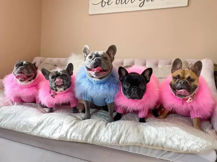Feather-Trim Pet Turtleneck — Pink or Blue
