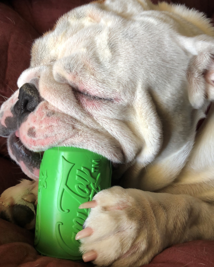 Fillable Can Toy for Moderate Chewers