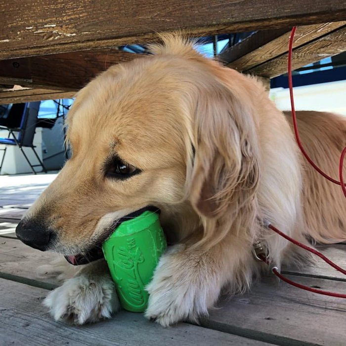 Fillable Can Toy for Moderate Chewers