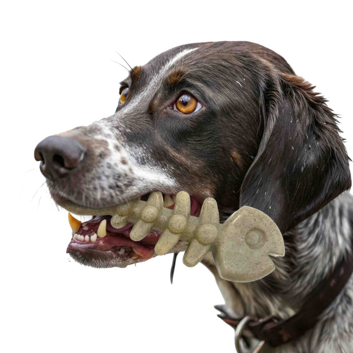 Fish Skeleton Nylon Dog Chew