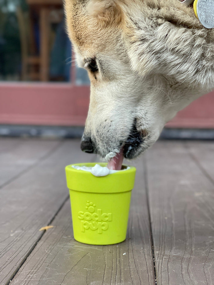 Flower-Pot Treat Cup for Supervised Play
