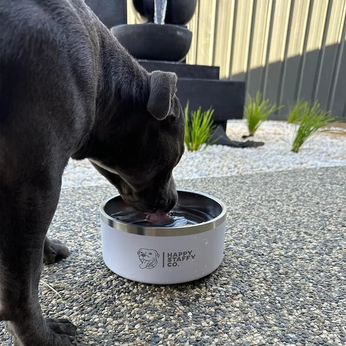 Food & Water Bowl Combo