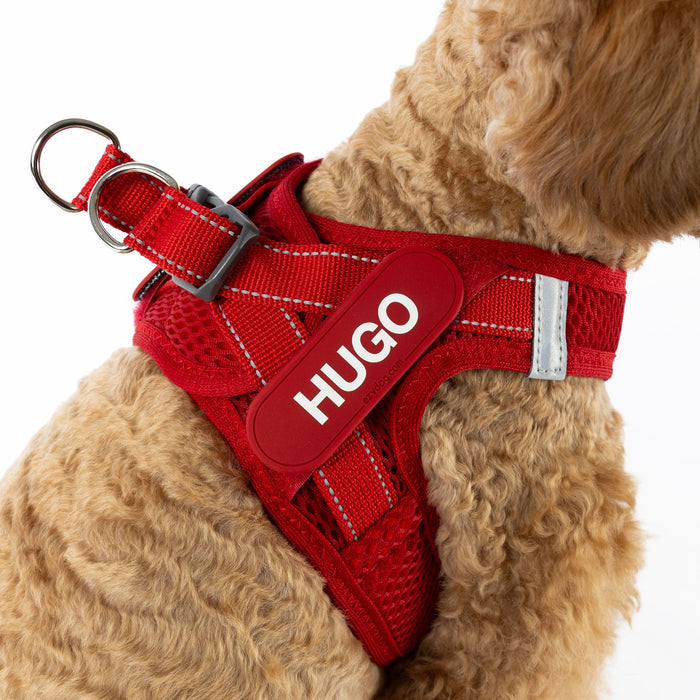 Personalized FORMFIT® Mesh Dog Harness