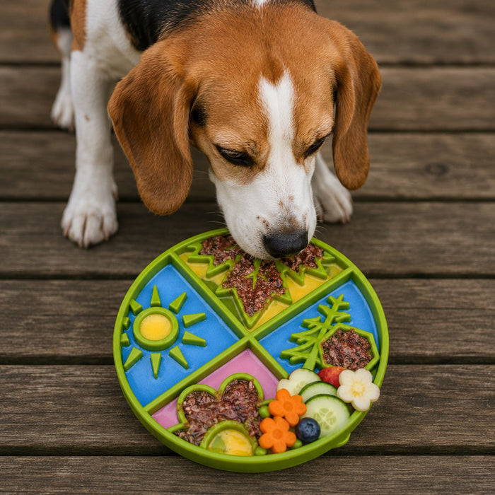 Four Seasons Sectioned Feeding Tray