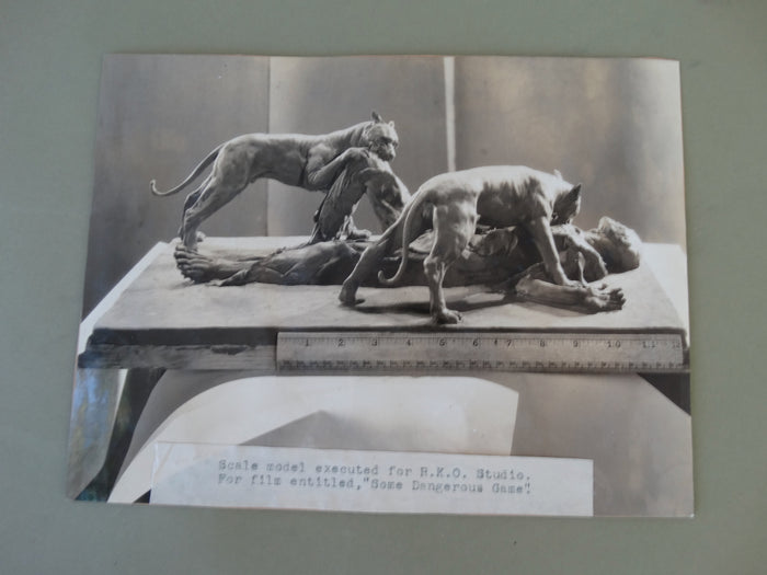 Frederico Giorgi: RKO Some Dangerous Game Model Photo