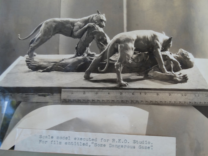 Frederico Giorgi: RKO Some Dangerous Game Model Photo
