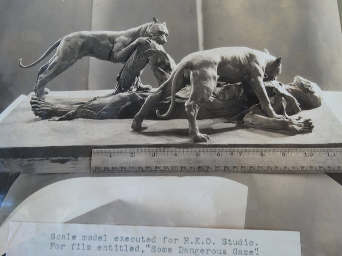 Frederico Giorgi: RKO Some Dangerous Game Model Photo