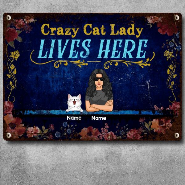 Funny Warning Signs, Gifts For Cat Lovers, Crazy Cat Lady Lives Here, Welcome Metal Signs, Cat Mom With Her Cats