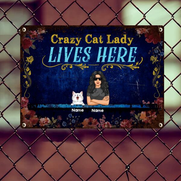 Funny Warning Signs, Gifts For Cat Lovers, Crazy Cat Lady Lives Here, Welcome Metal Signs, Cat Mom With Her Cats