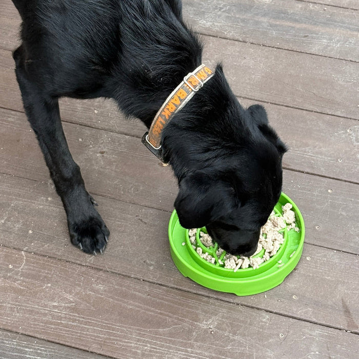 Garden-Pattern Tray for Divided Dog Meals