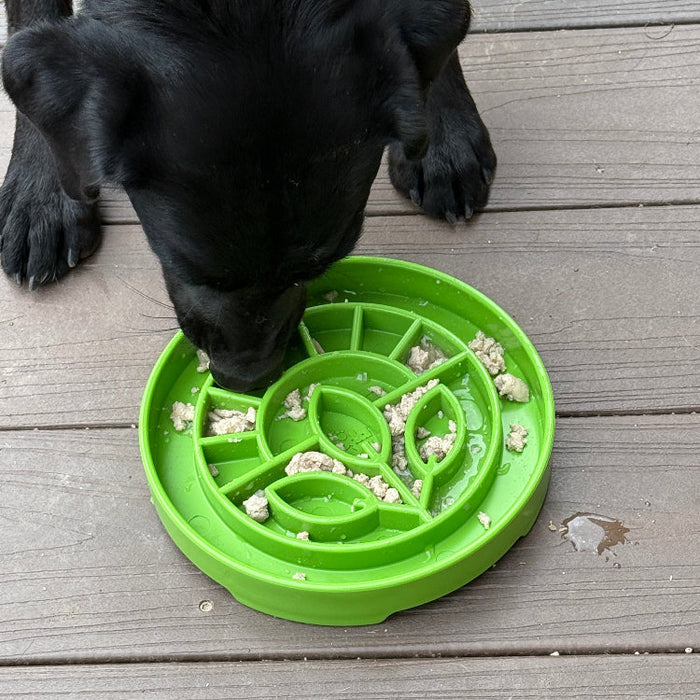 Garden-Pattern Tray for Divided Dog Meals
