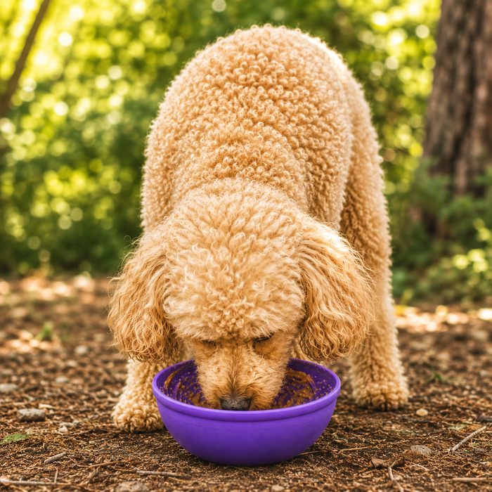 Garden Tipsy Wobble Lick Bowl