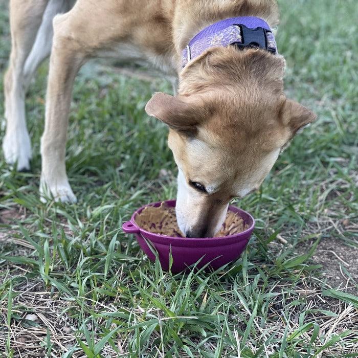 Garden Tipsy Wobble Lick Bowl