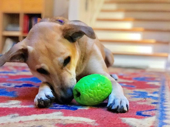 Green Dinosaur Egg Treat Toy