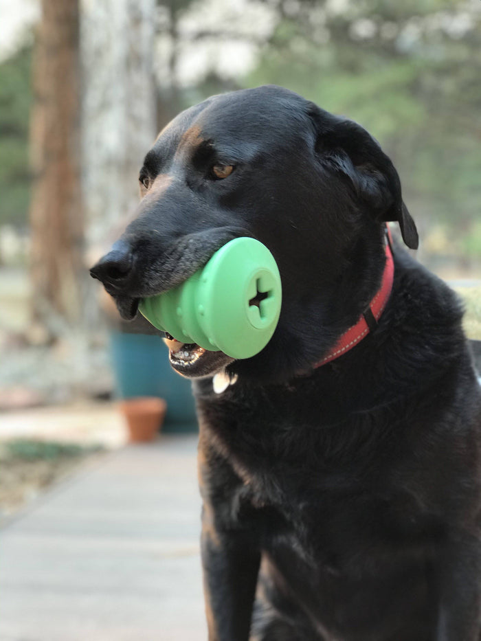 Green Holiday Tree Rubber Treat Toy