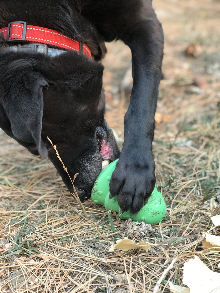Green Holiday Tree Rubber Treat Toy