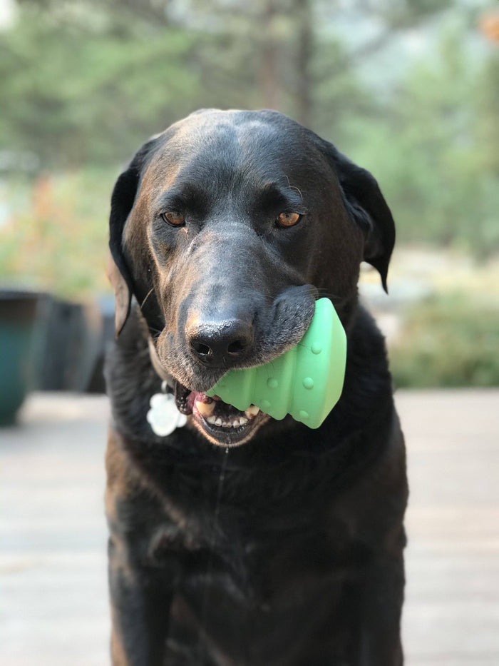 Green Holiday Tree Rubber Treat Toy
