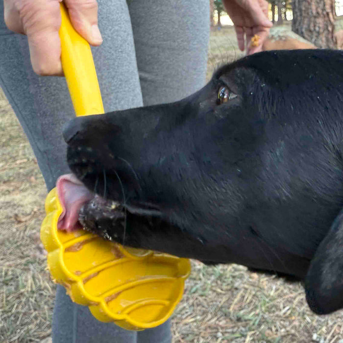 Handheld Food-Reward Stick for Training