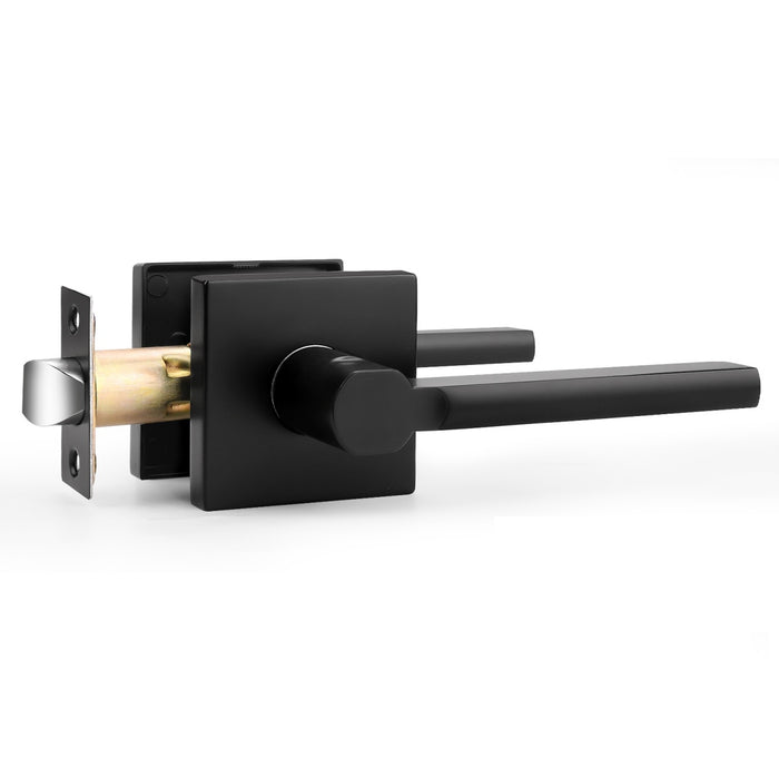 Heavy Duty Door Handles Matte Black Finish, Privacy/Passage Function, DL1603BK