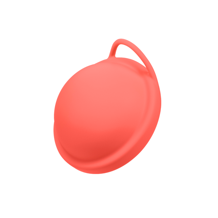 Hey Zomi Menstrual Disc