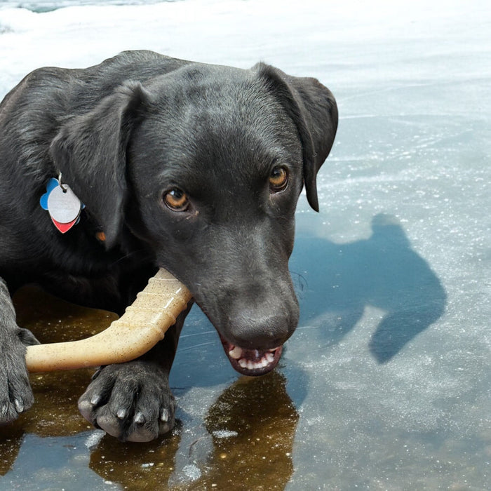 Hockey Stick Shaped Nylon Chew