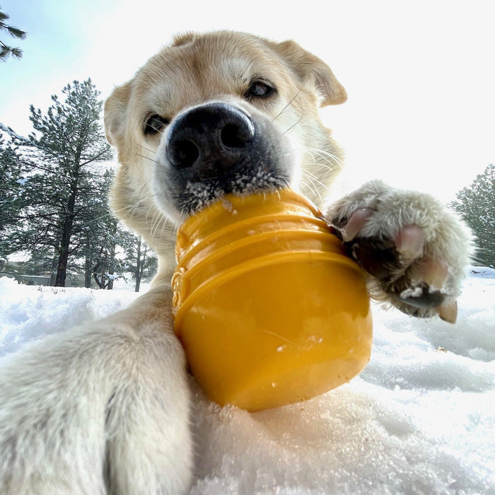 Honey Pot Open Treat Cup