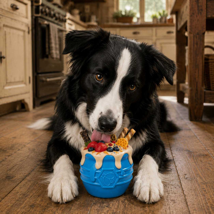Honey Pot Open Treat Cup