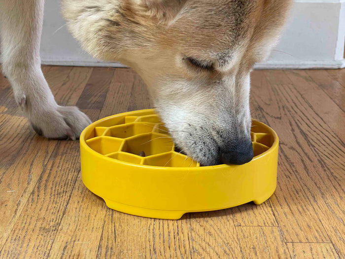 Honeycomb Deep Feeding Bowl