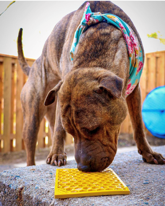 Honeycomb Yellow Lick Mat