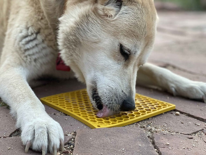Honeycomb Yellow Lick Mat