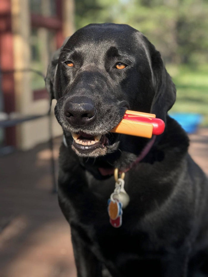 Hot Dog and Bun Nylon Chew