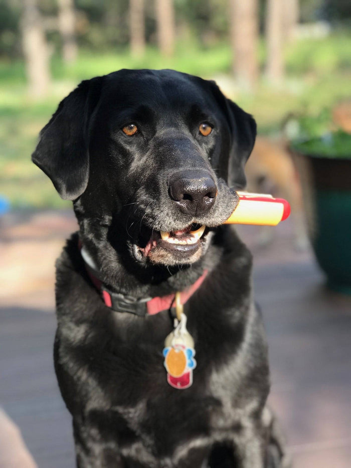 Hot Dog and Bun Nylon Chew