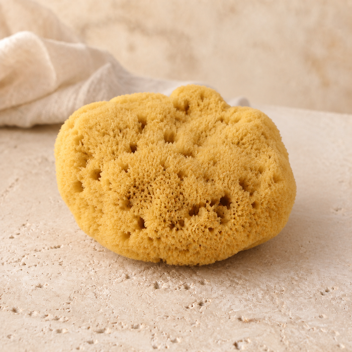 Jade & Pearl Sea Pearl Reusable Prolapse Sponge or Menstrual Sponge - XL + Firm (2 Pack)